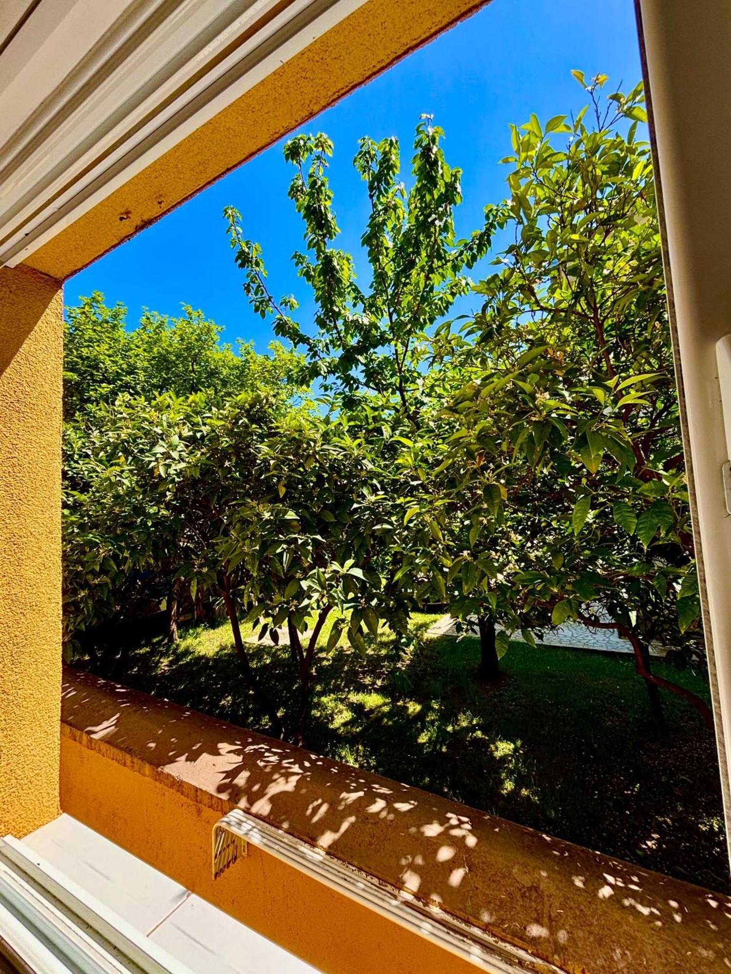 Apartments Ds Club Будва Екстер'єр фото